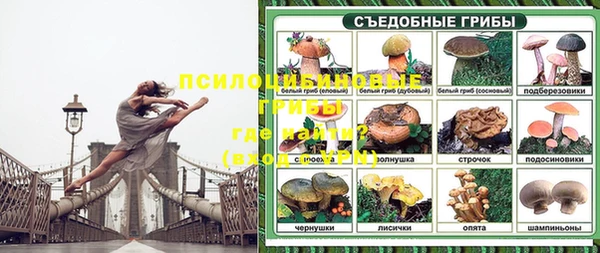 герыч Магас