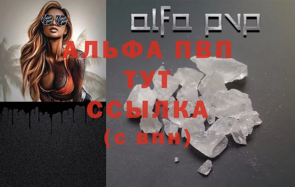 дмт Магадан