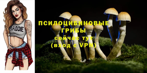 a pvp Абинск